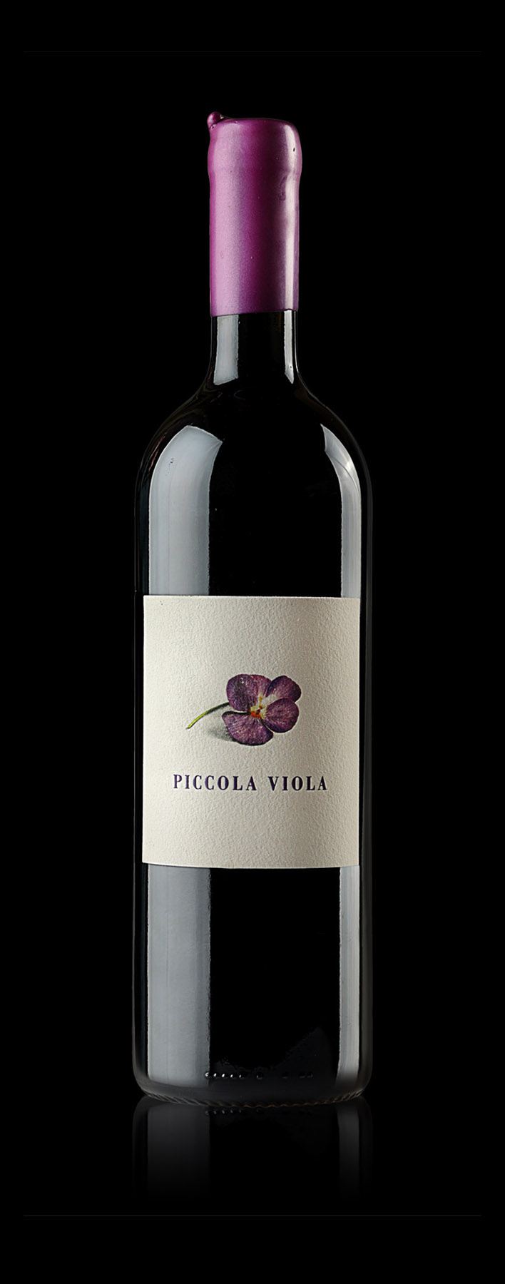 Piccola Viola2